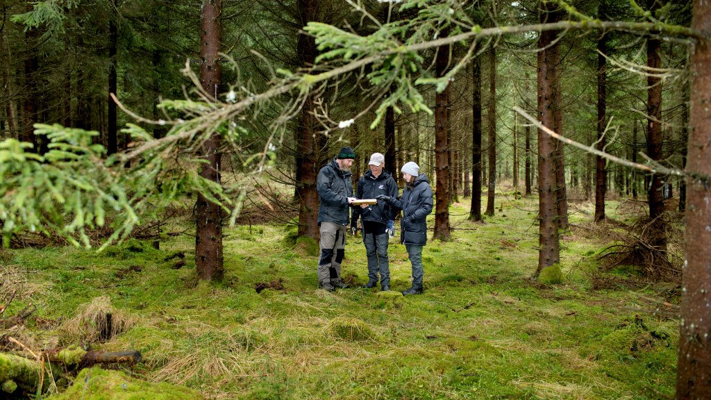 Vilka regler gäller för samägande av skogsfastighet?