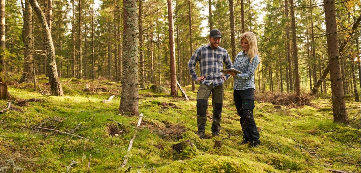 Skogsinspektor medlem 2020