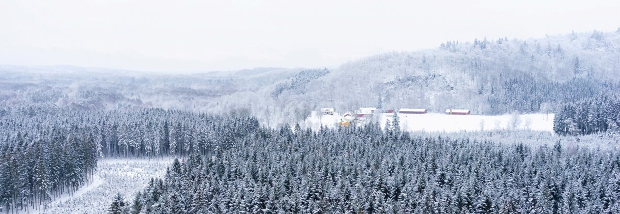 Skogsgård i vinterlandskap