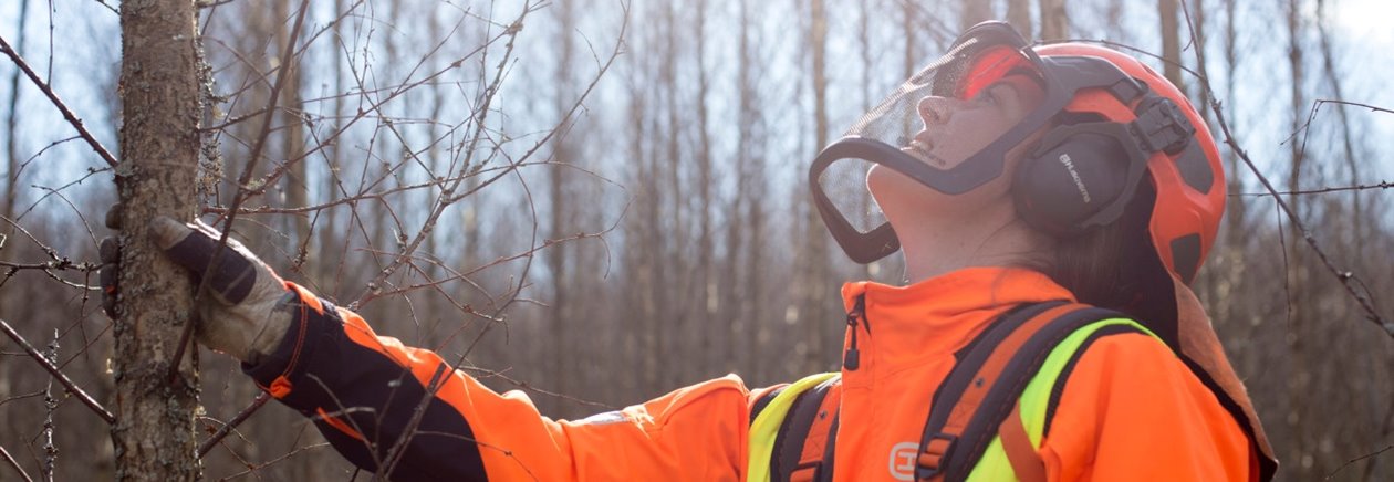 Kvinna med skyddsutrustning för skogsarbete, björkstam