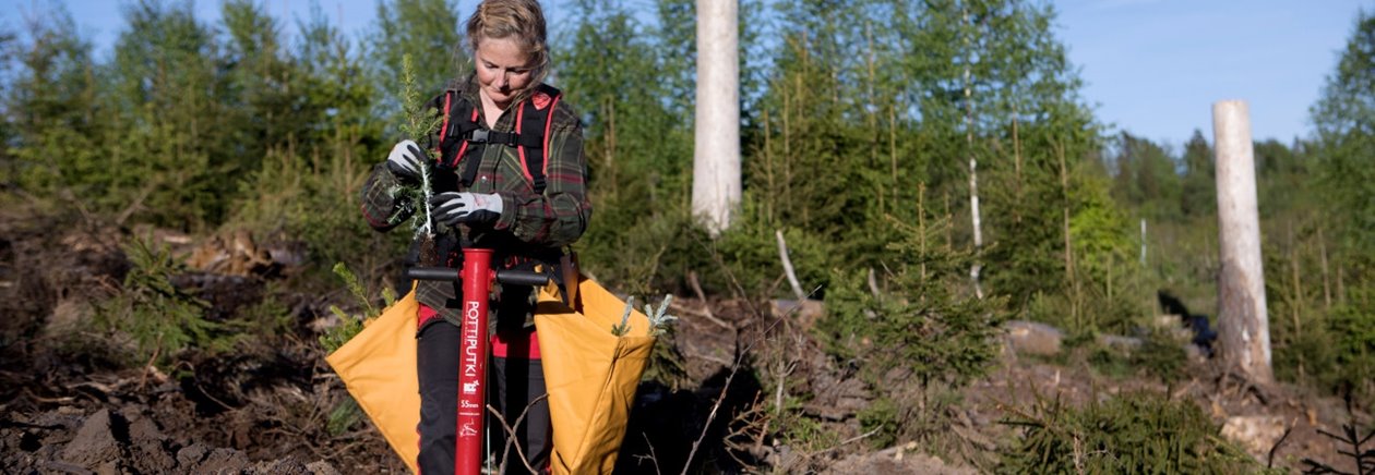 Plantering av Södras plantor Södraplantan Cambiguard med medlem