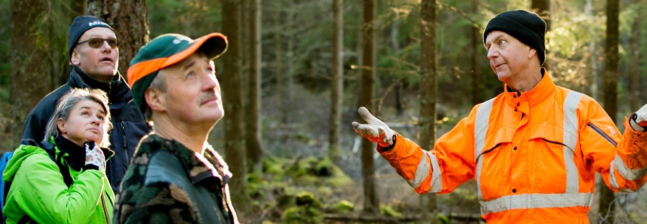 Södraskolan i skogen