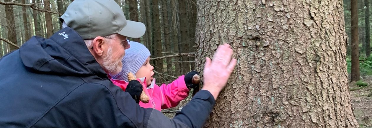 Ny som skogsägare - generationer av skogsägare