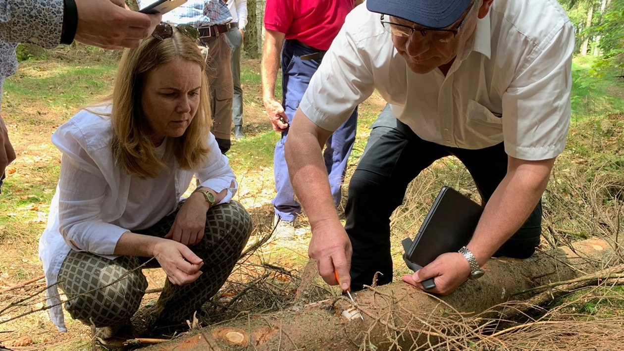 Ministerbesök av landsbygdsminister Jennie Nilsson. Göran Örlander visar barkborreskadad skog.