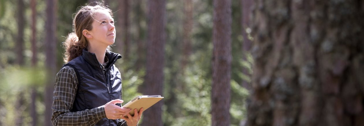 Kvinna i skogen om skogsskötselåtgärder