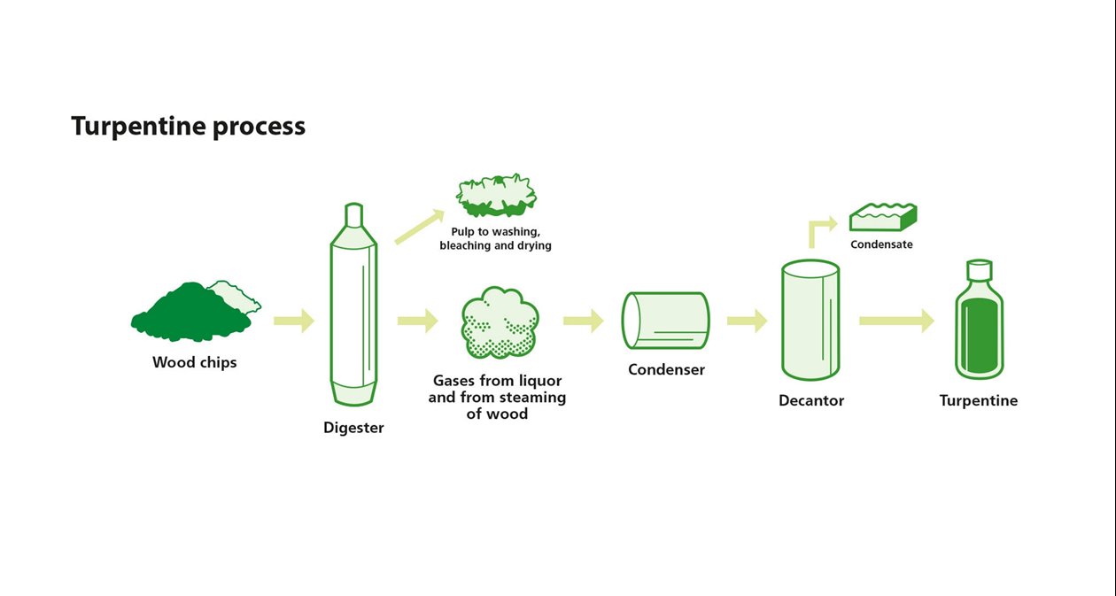 Turpentine process Södra Cell Bioproducts