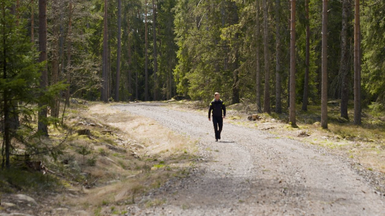 Bild från Södras utbildningsfilmer om skogsbilvägar juni 2020 Klassning av skogsbilvägar