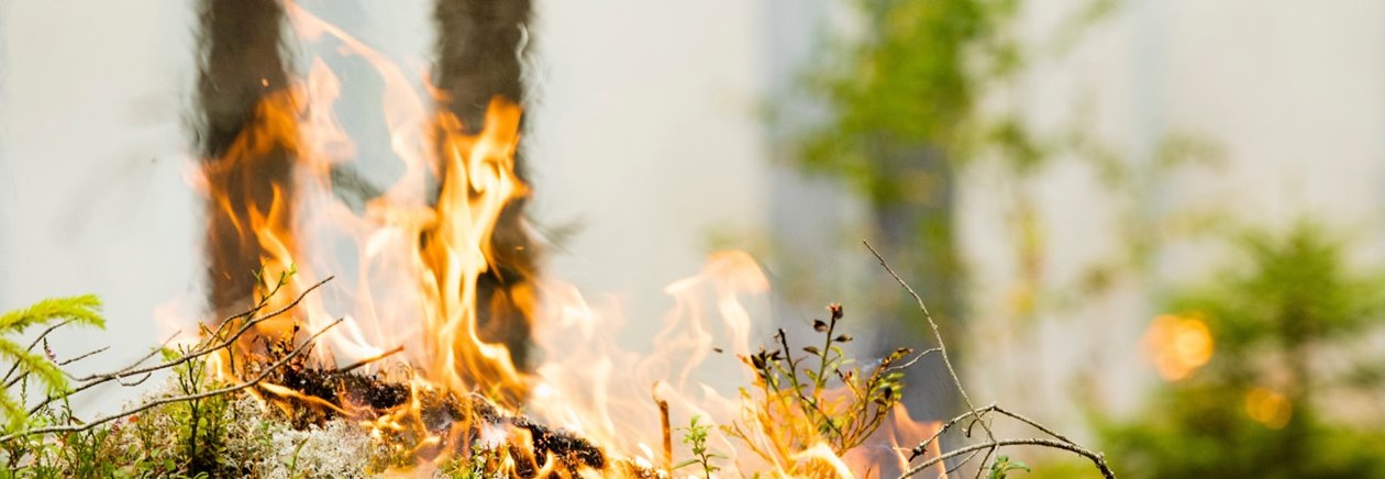 Södra förbereder naturvårdsbränning