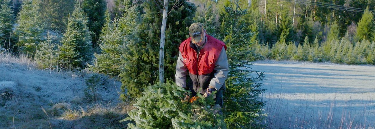 Julgransskola med medlemmen Bengt "Månen" Karlsson i Valdermarsvik. November 2018.