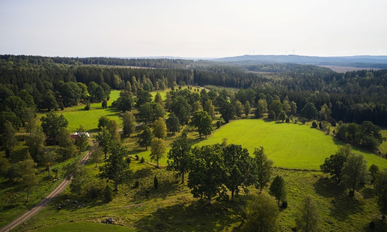 Skogsinspektor medlem 2020.