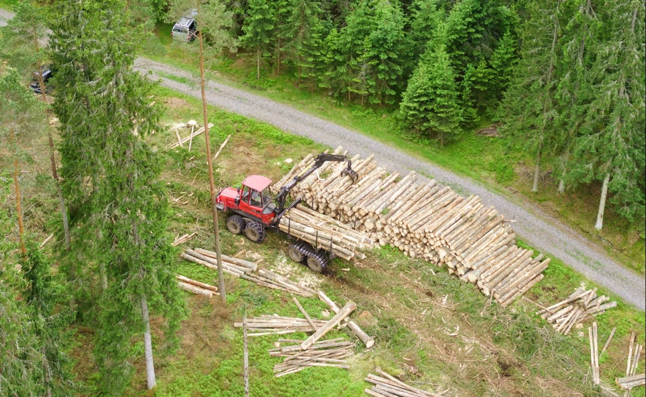 Skog vid Ätran.  Entreprenören är CG tel 0706-288405 i Oskarströms VO.