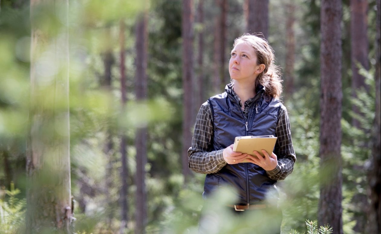 Södra appen Skogsägare visas av Lina Samuelsson