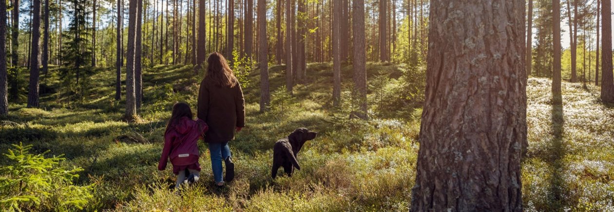 Dog, girl, woman in forest