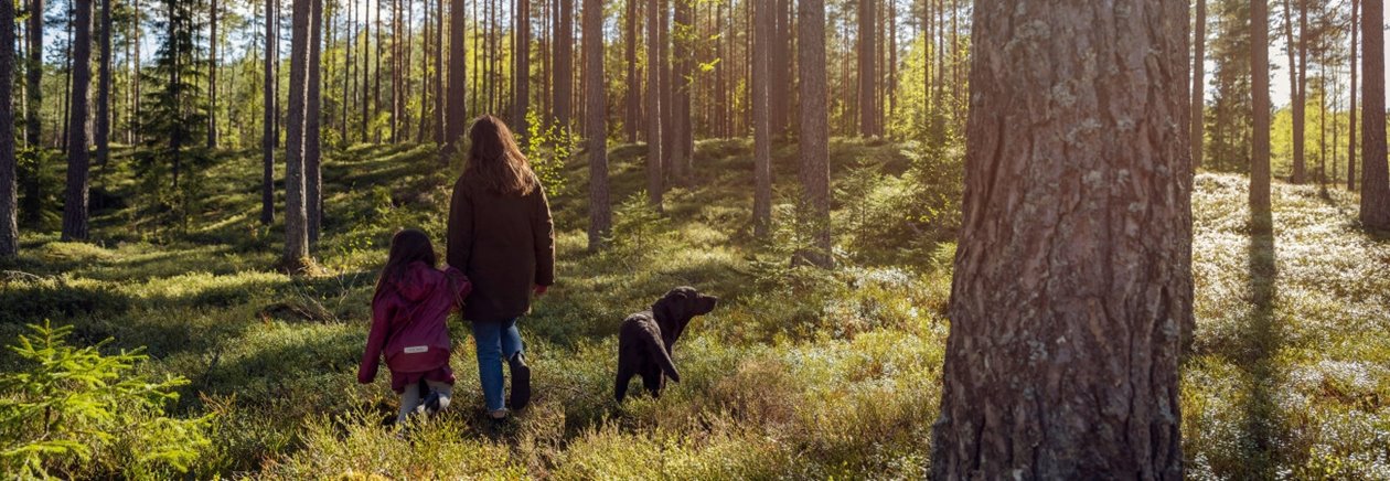 Hund, flicka, kvinna i skogen