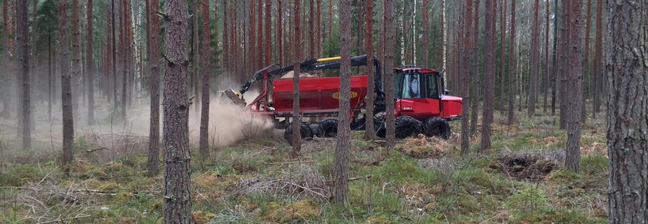 Näringsåterföring i skogen