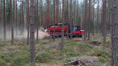 Näringsåterföring i skogen