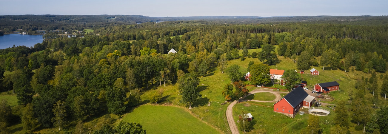 Skogsinspektor medlem 2020.