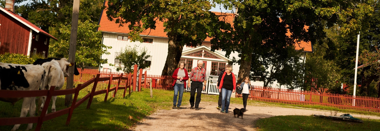 Skogsinspektor medlem 2020. Från vänster Runa Levinsson, Ingemar Levinsson, Katarina Carlsson, Ava Houlihan-Burne (statist). Bakom Katarina - Joakim Carlsson.