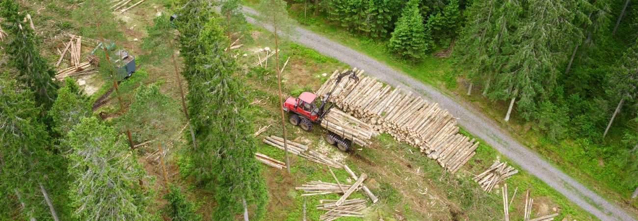 Skog vid Ätran.  Entreprenören är CG tel 0706-288405 i Oskarströms VO.