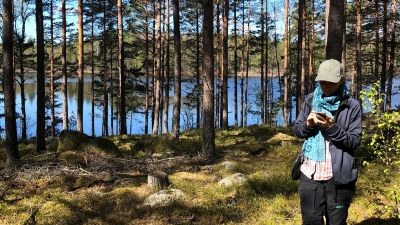 Planering inför eventuell naturvårdsbränning sommaren 2020. Therese Lindström.