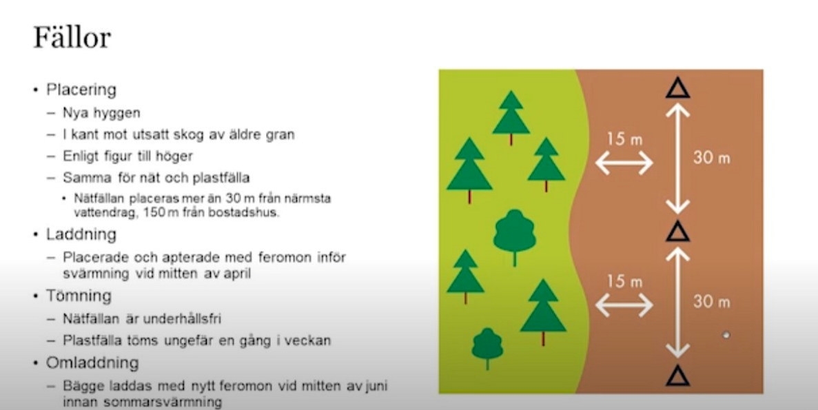 Puff till kapitel 15 i barkborre utbildning