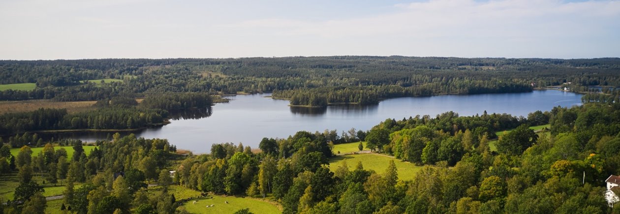 Skogsinspektor medlem 2020.