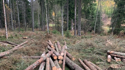 Skogsarbetare utfört av Johan Johnsson, Vimmerby. 