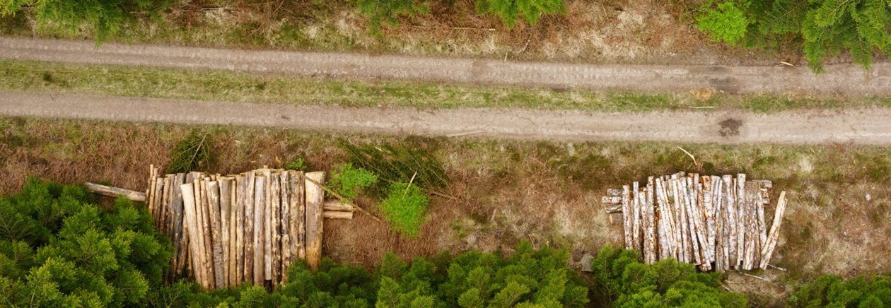 Skog i Småland.
SWEREF99 TM
    6267296.616, 391080.263