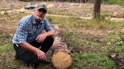 Patrik Lindenbjär visar huir man apterar virke rätt