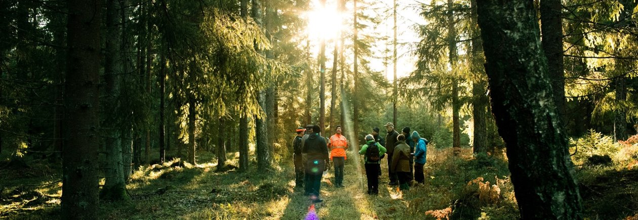 Södraskolan . Grundkurs för skogsägare i skogen utanför Vara. Kursledaren Lars Nilsson i Orangejacka