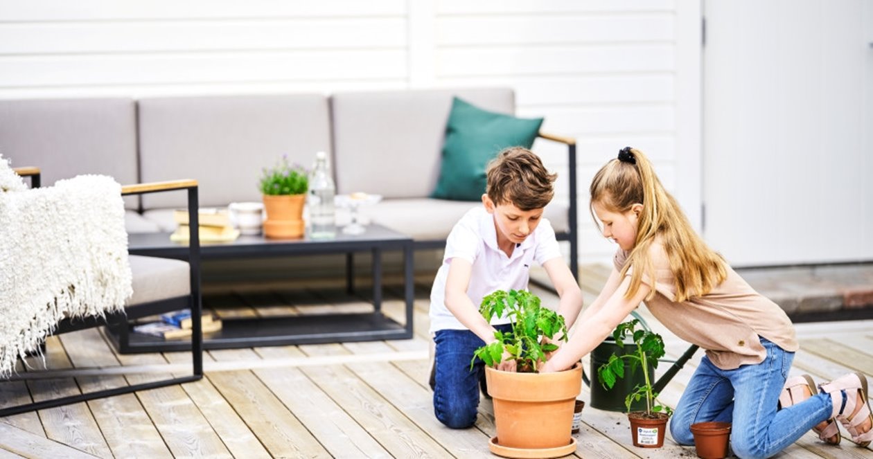 Barn planterar tomatplanta i kruka på trallgolv altan i bakgrunden vitmålad ytterpanel CMP

Children planting a tomato plant in a pot on a wooden deck with white, pre-painted cladding in the background CMP