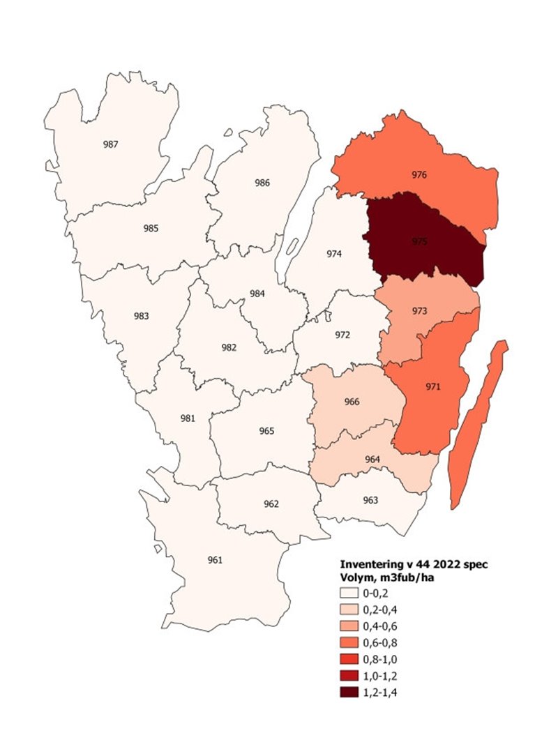 Granbarkborreskadornas omfattning vid Södras inventering i vecka 44 2022
