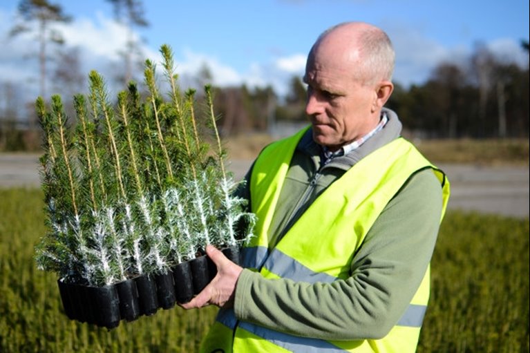 Johan Jonsson håller Cambiguard / Södraplantor i ett krukset