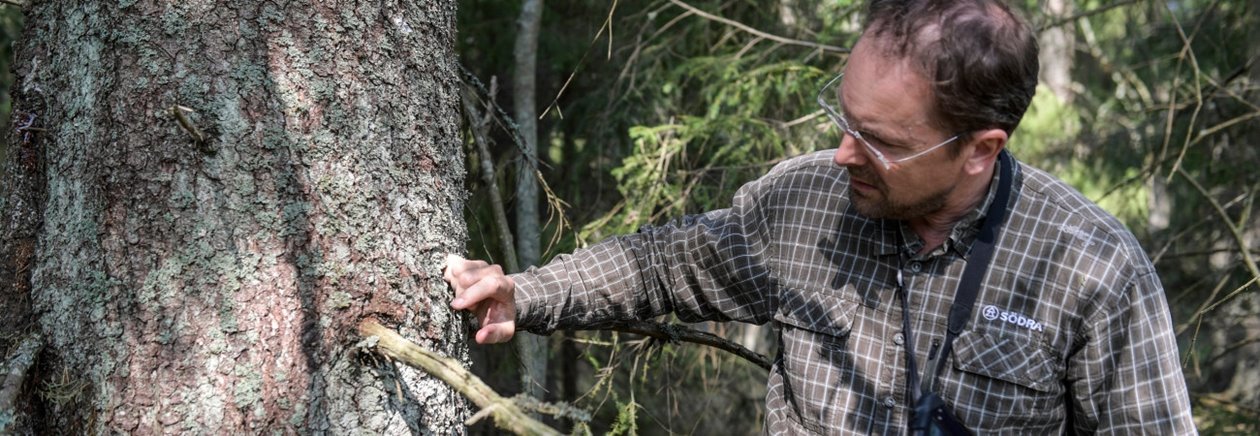 Johan Sjödin, skogsinspektor Södra. I skogen hos Karin Andersson, styrelsemedlem, Hultåkra