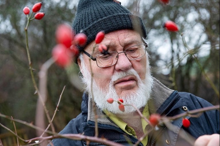 Den hälsosamma skogen: Promenera i skogens skafferi. Roland Rittman.