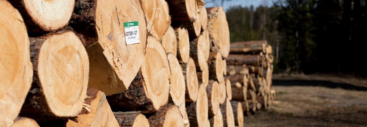 Tallvältor från skog som ägs av Södra-medlem.