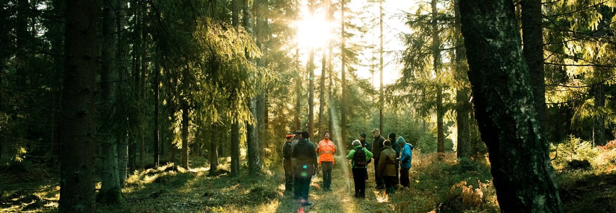 Södraskolan . Grundkurs för skogsägare i skogen utanför Vara. Kursledaren Lars Nilsson i Orangejacka