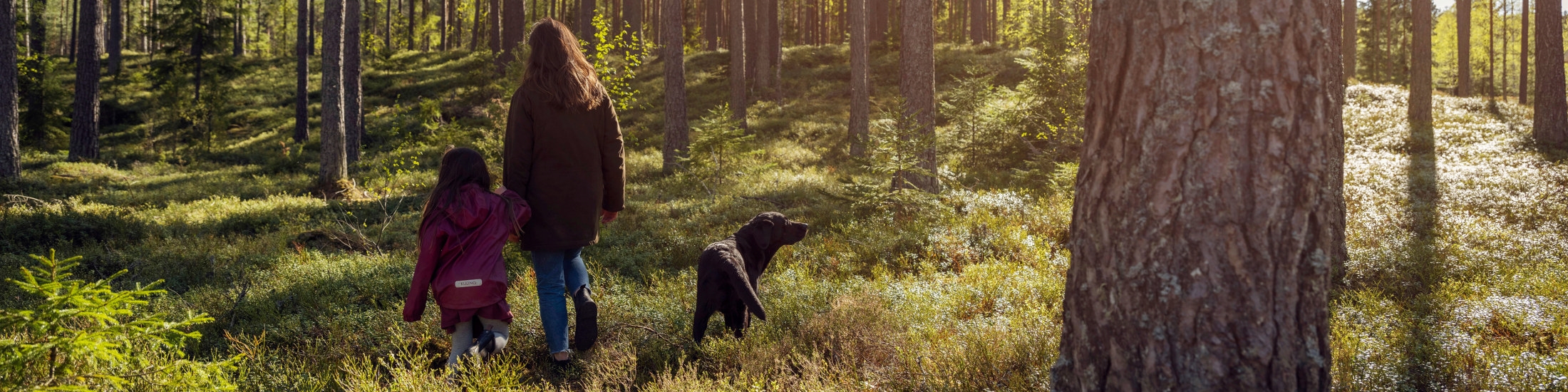 Barn mamma och hund är ute och går i skogen