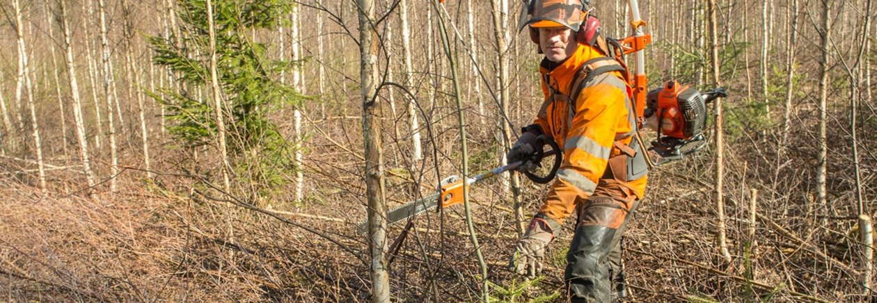 Röjning på Toftaholm av Bengt-Åke Alriksson