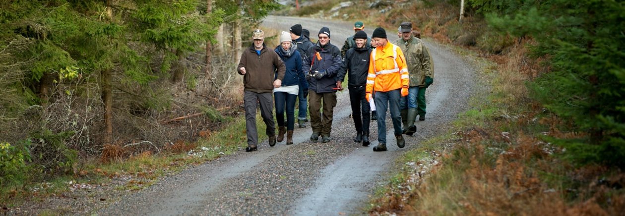 Södraskolan . Grundkurs för skogsägare i skogen utanför Vara. Kursledaren Lars Nilsson i Orangejacka