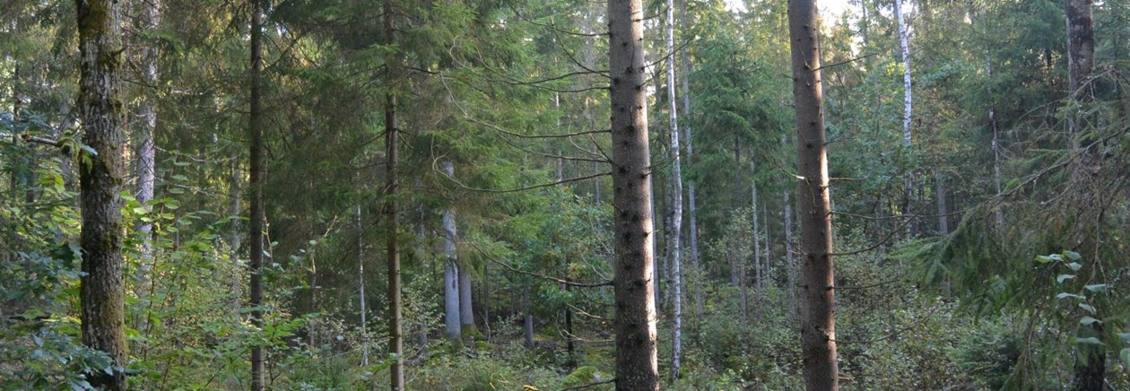 Hyggesfria skötselmetoder