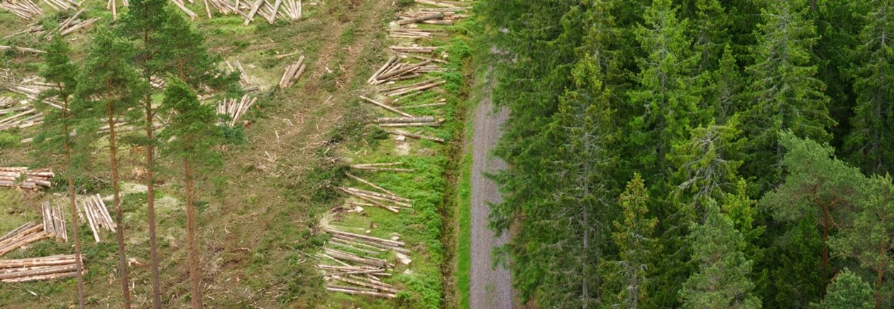 Skog vid Ätran.  Entreprenören är CG tel 0706-288405 i Oskarströms VO.