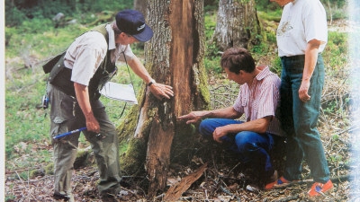 Inventering för grön skogsbruksplan i Ubbhult 1996. Från vänster skogs-inspektor Nils-Göran Nilsson och medlemmarna Gunnar och Ulla Nicklasson.