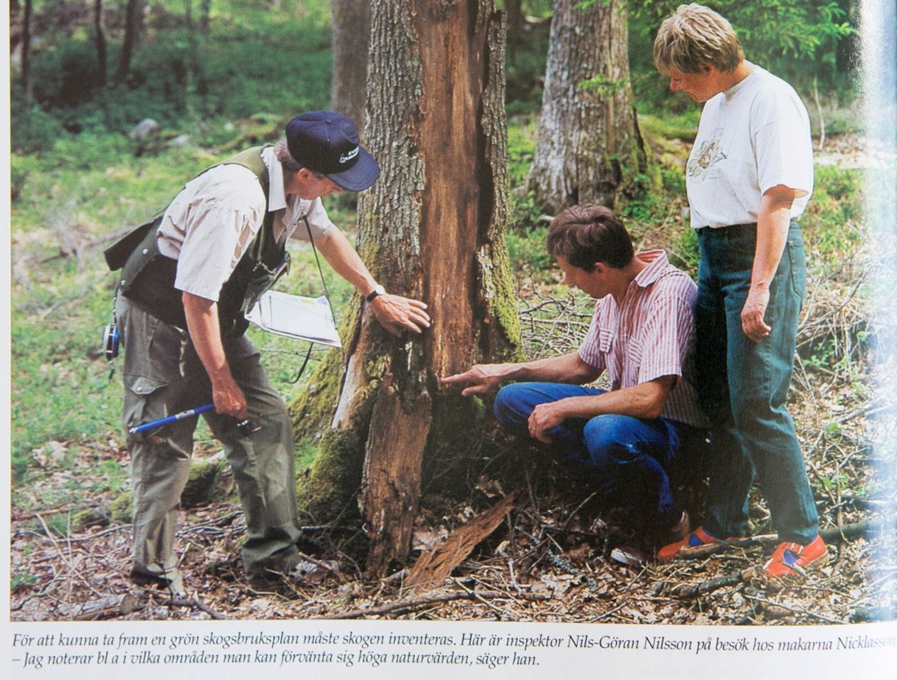 Inventering för grön skogsbruksplan i Ubbhult 1996. Från vänster skogs-inspektor Nils-Göran Nilsson och medlemmarna Gunnar och Ulla Nicklasson.