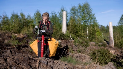 Plantering av Södras plantor Södraplantan Cambiguard med medlem