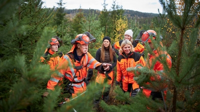 människor i ungskog, lövskog 