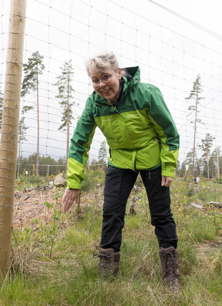 Viltdemohägn. Anna-Karin Malm, Tranhult.