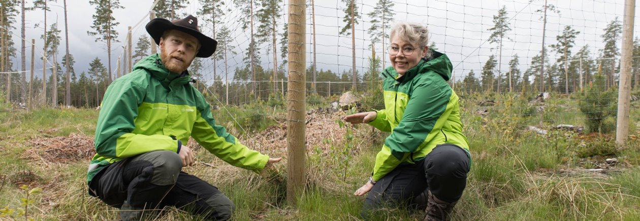 Viltdemohägn. Anna-Karin Malm, Tranhult.