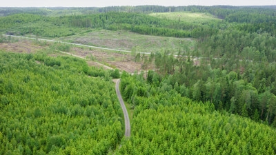 flygbild över olika skogsområden