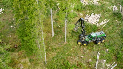 Skogsägare diskuterar föryngringsavverkning